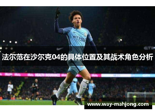 法尔范在沙尔克04的具体位置及其战术角色分析