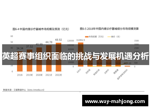 英超赛事组织面临的挑战与发展机遇分析 英超赛事组织面临的挑战与发展机遇分析