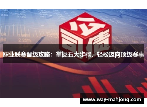 职业联赛晋级攻略：掌握五大步骤，轻松迈向顶级赛事