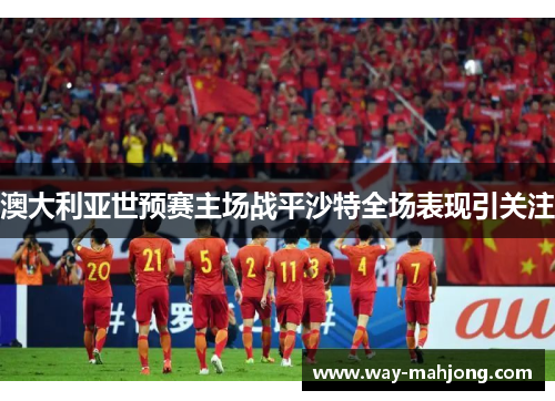 澳大利亚世预赛主场战平沙特全场表现引关注