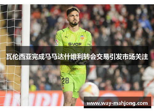 瓦伦西亚完成马马达什维利转会交易引发市场关注 瓦伦西亚完成马马达什维利转会交易引发市场关注