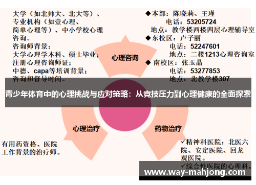 青少年体育中的心理挑战与应对策略：从竞技压力到心理健康的全面探索
