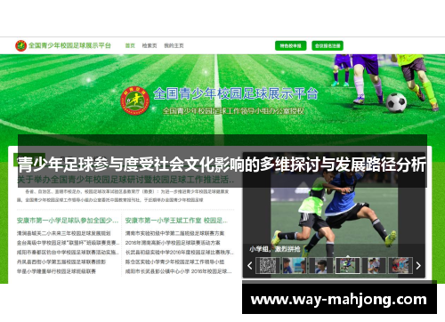 青少年足球参与度受社会文化影响的多维探讨与发展路径分析