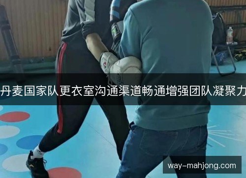 丹麦国家队更衣室沟通渠道畅通增强团队凝聚力